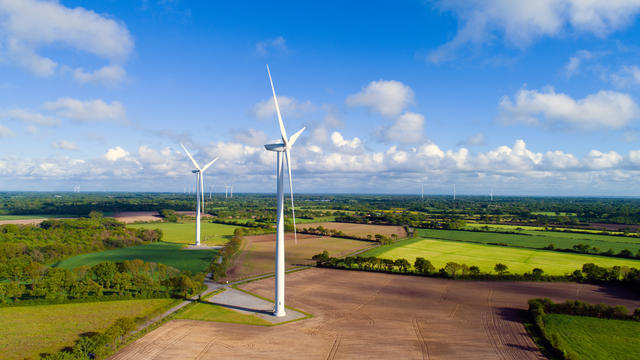 wind turbines in a field