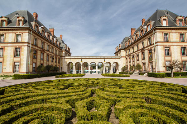 houses and a garden