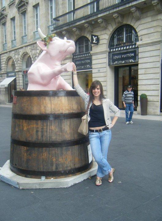 Bordeaux cow exhibition