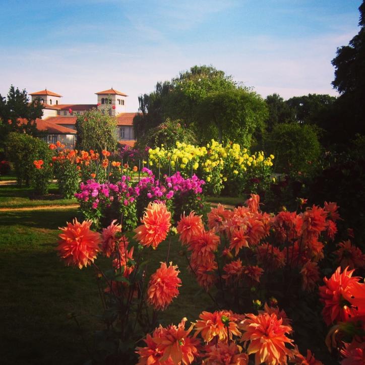 Rennes, Jardin du Thabor, 2013